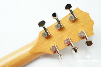 GS Mini-e KOA Plus